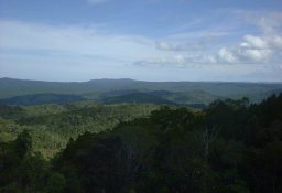 SE Vanua Levu, terrace covered by tropical forest