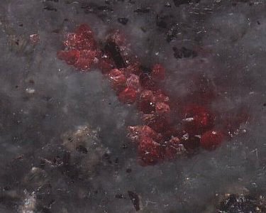 garnet in peridotite