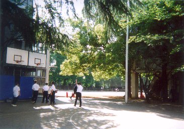 �����w��